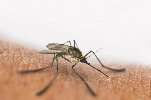 Quick Guide to Malaria Prevention