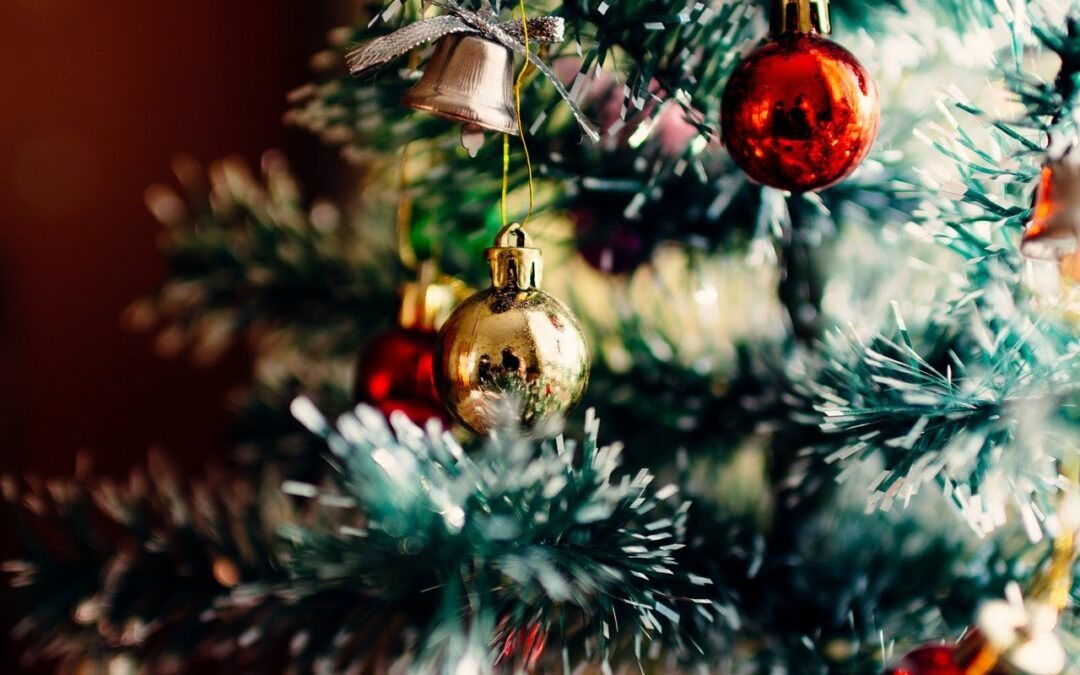 Our Guide to Spending Christmas in Nelspruit