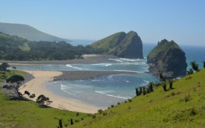 Travel safety tips