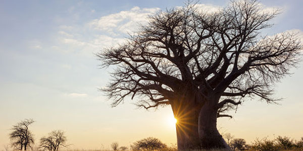 5 Must Visit Scenic Towns in the Lowveld