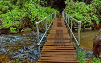 Outdoor Nature Adventure