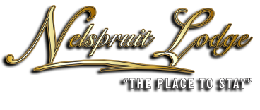 Nelspruit Alojamento